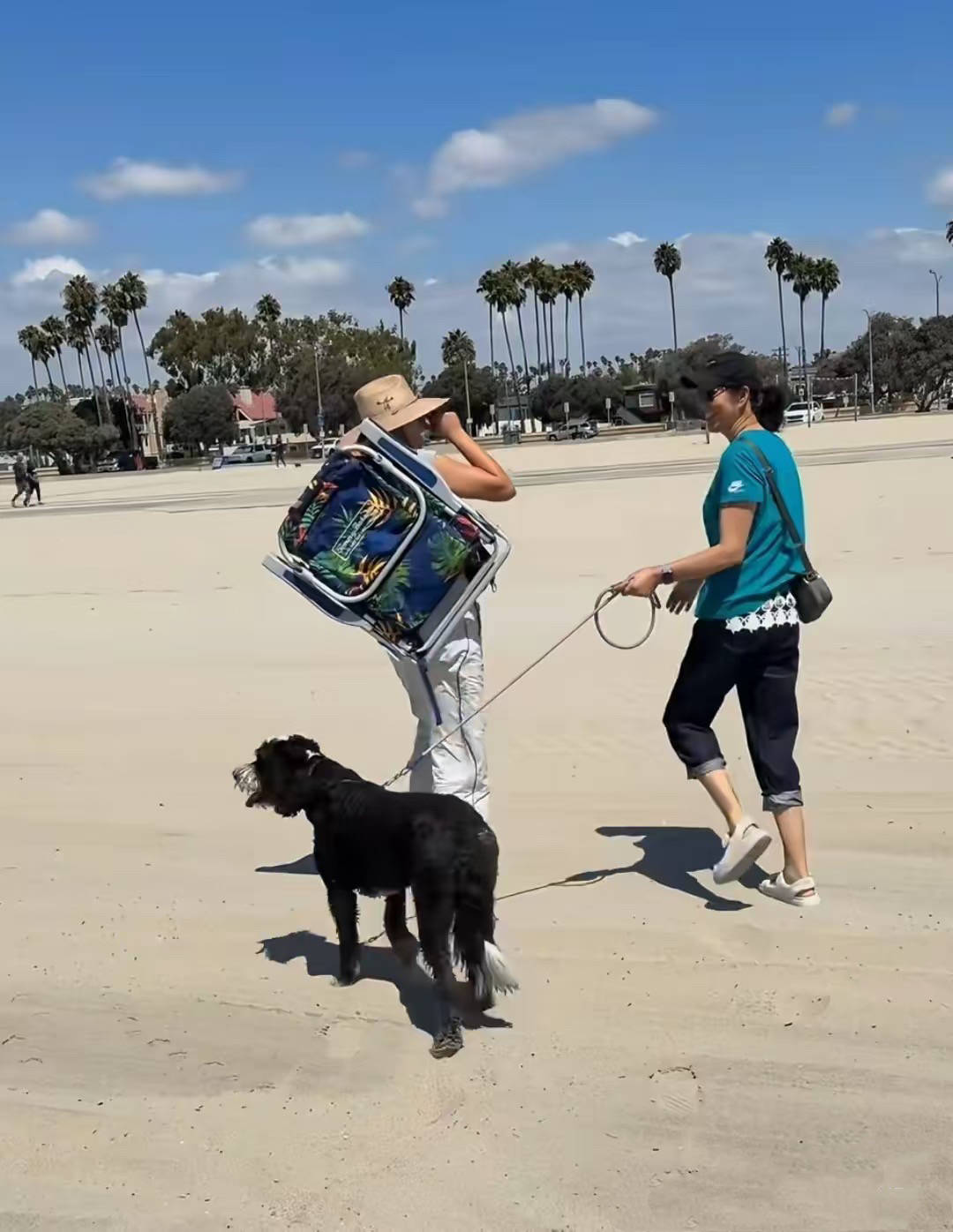 特别轻盈, msn 特别轻盈, msn