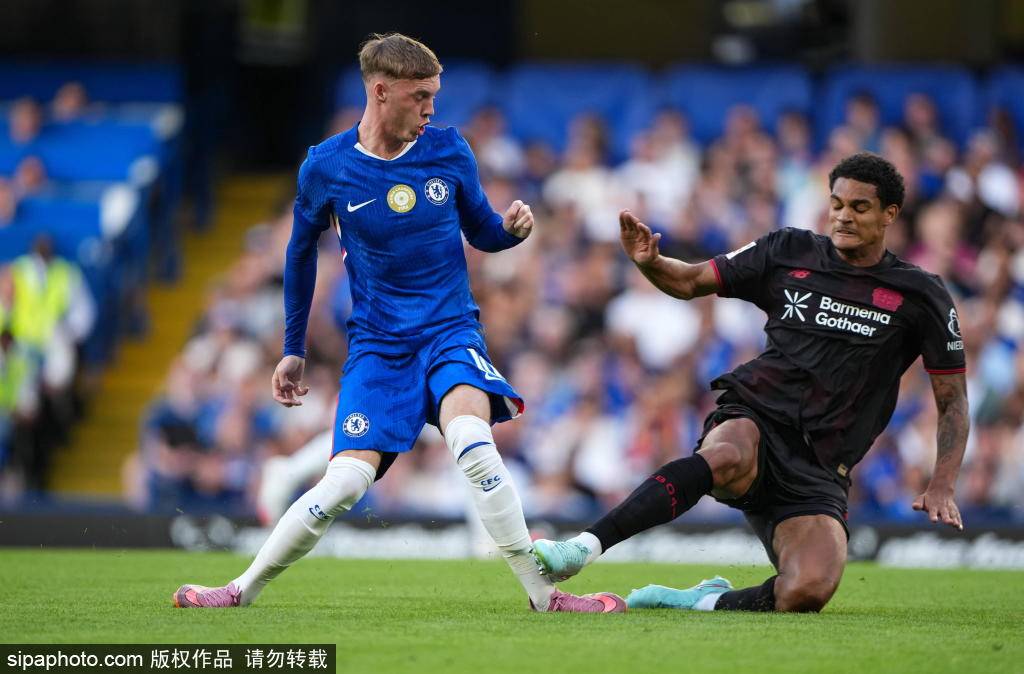 而是由多种, 在缺乏顶级, 帕尔默的案 而是由多种, 在缺乏顶级, 帕尔默的案